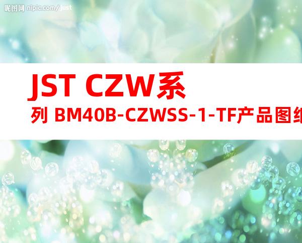 JST CZW系列 BM40B-CZWSS-1-TF产品图纸